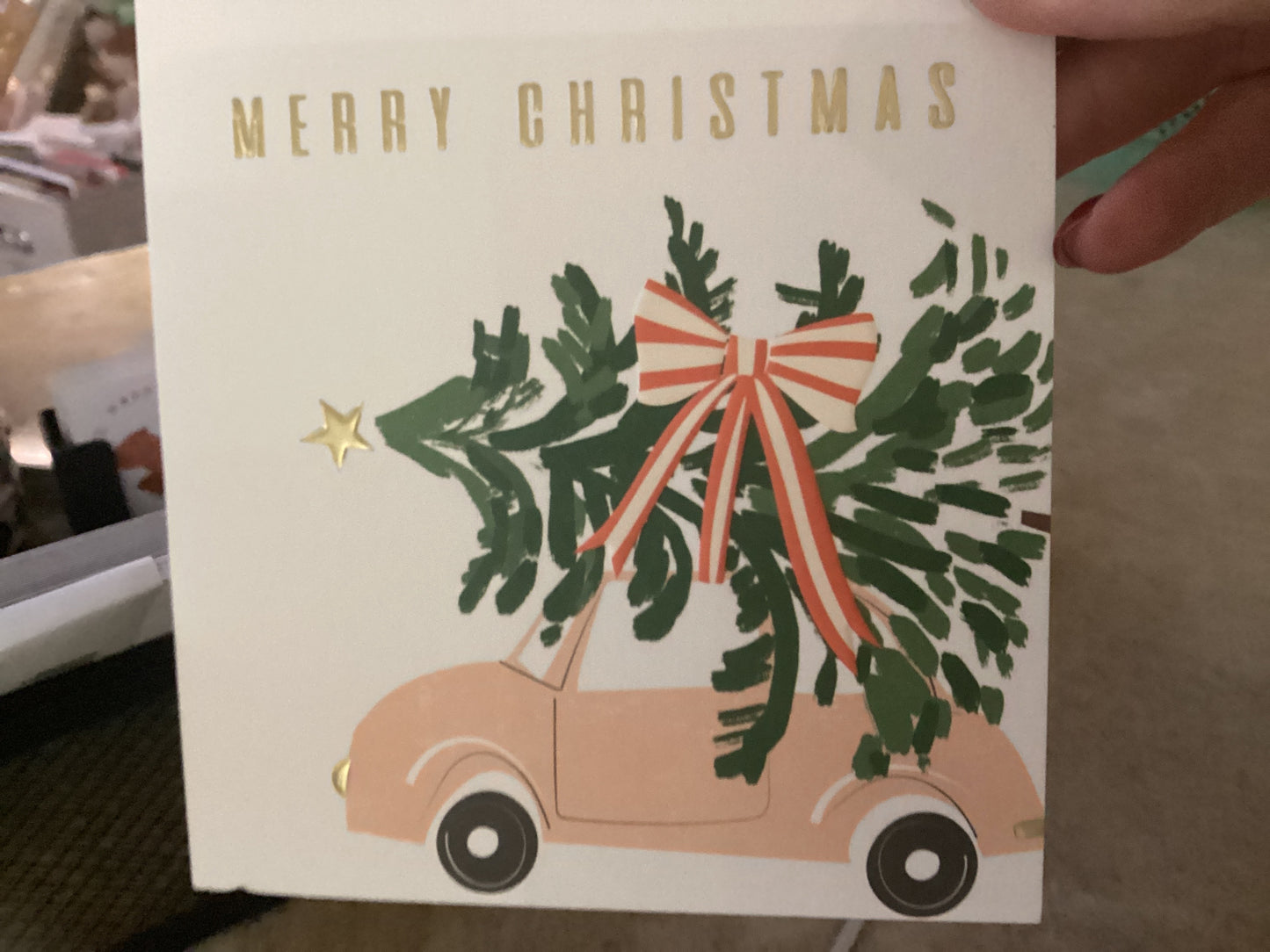 Multipack Charity Christmas Cards - Robin and Traveling home for Christmas