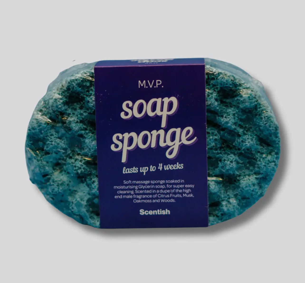 Soap Sponge