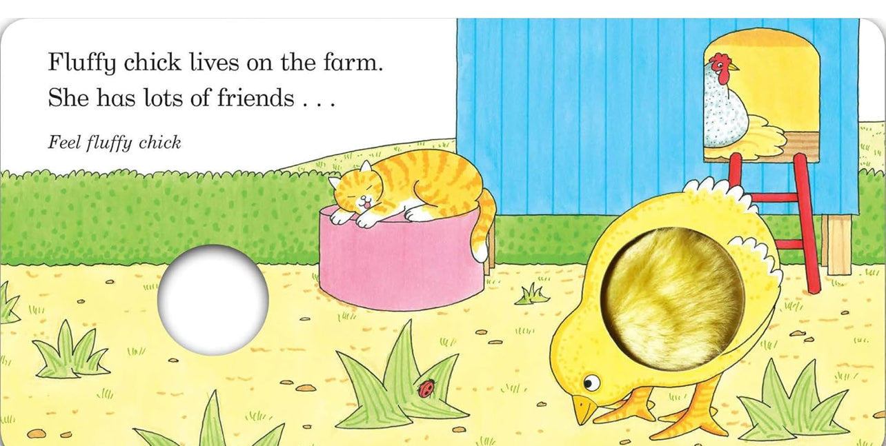 Fluffy Chick - Touch & Feel Book