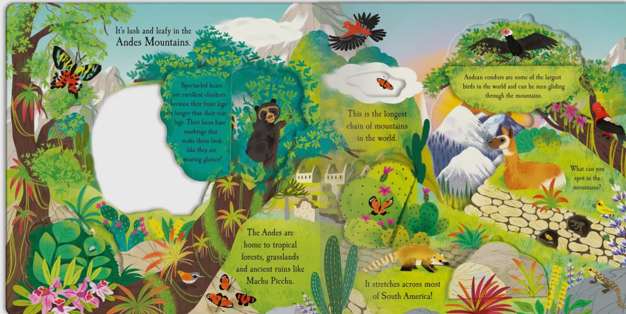 Let’s Explore the Mountains - Lift the Flap Book