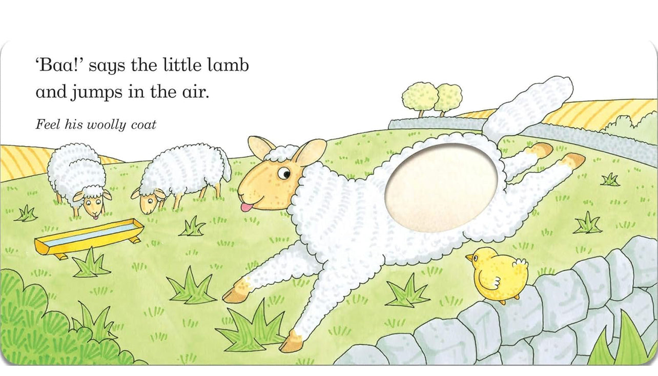 Fluffy Chick - Touch & Feel Book