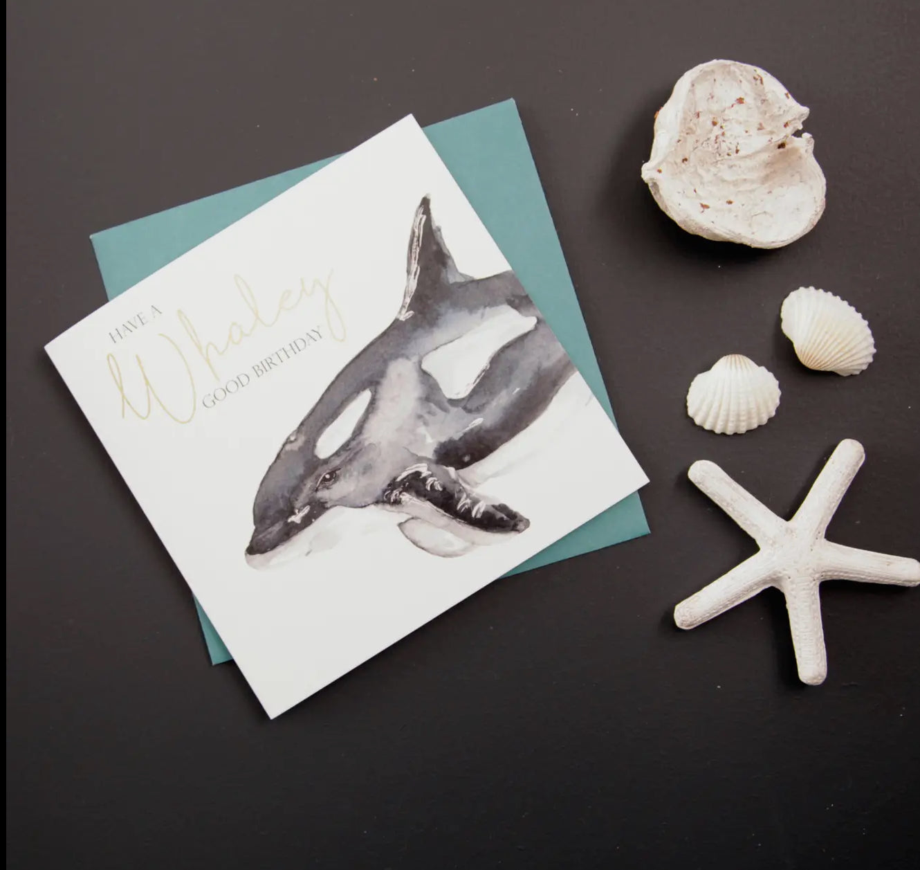 have a Whaley Good Birthday - Whale design birthday card