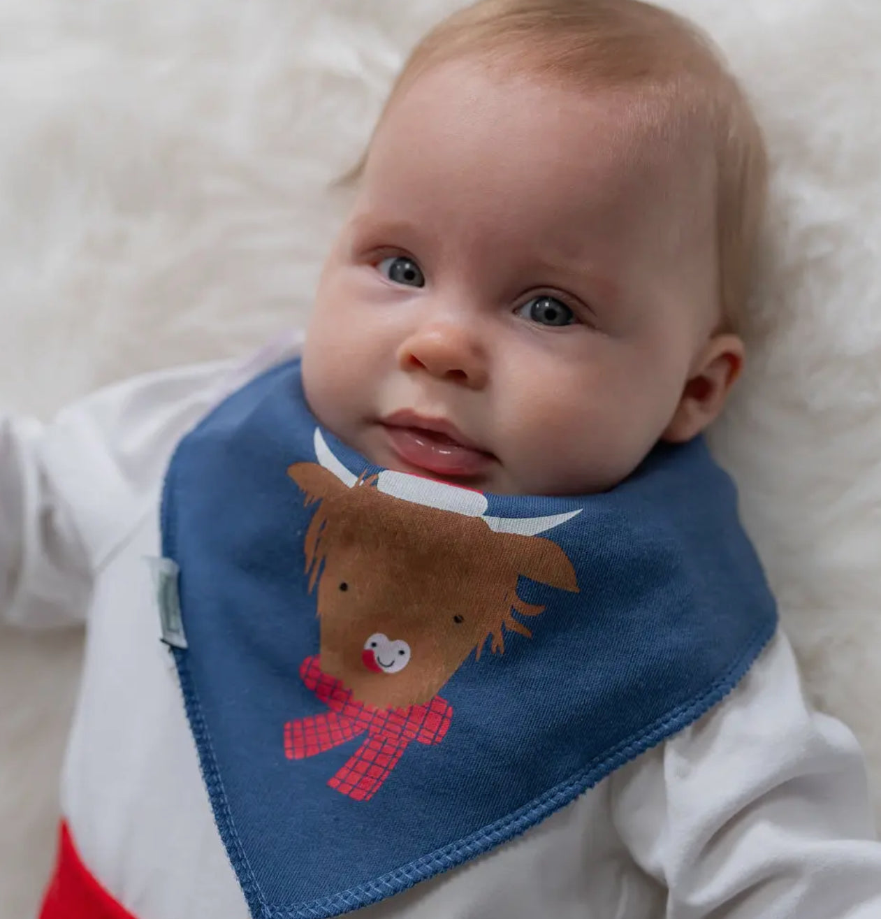 Christmas Bib with Highland Cow