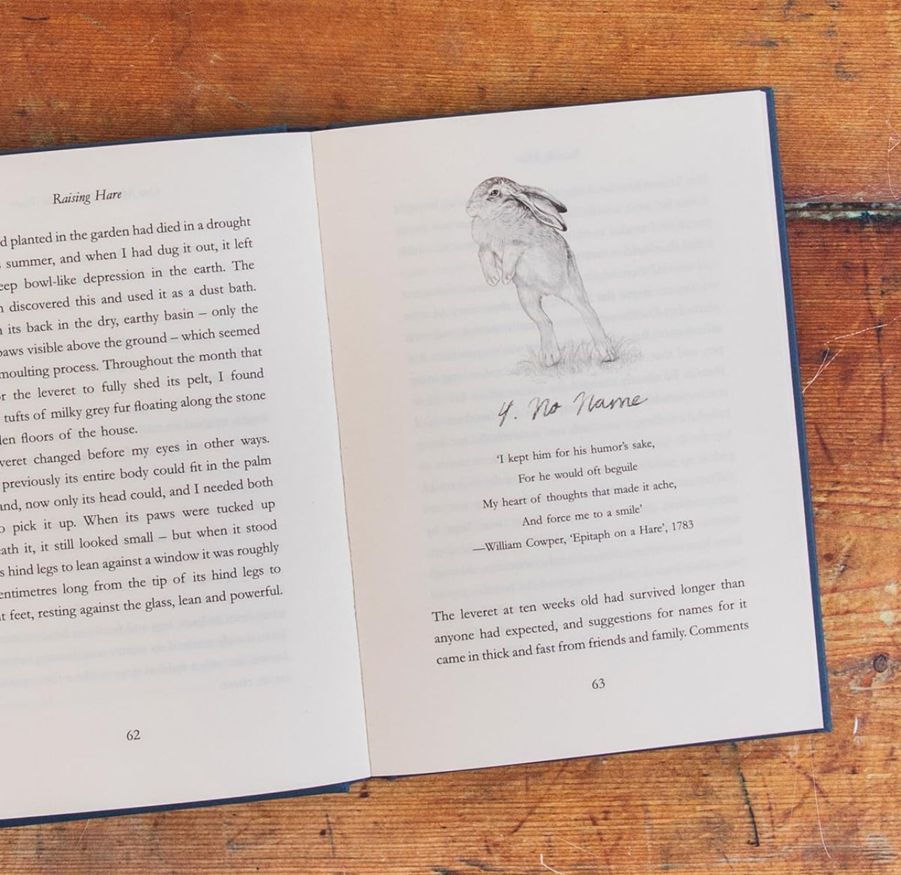 Raising Hare Hardback Book