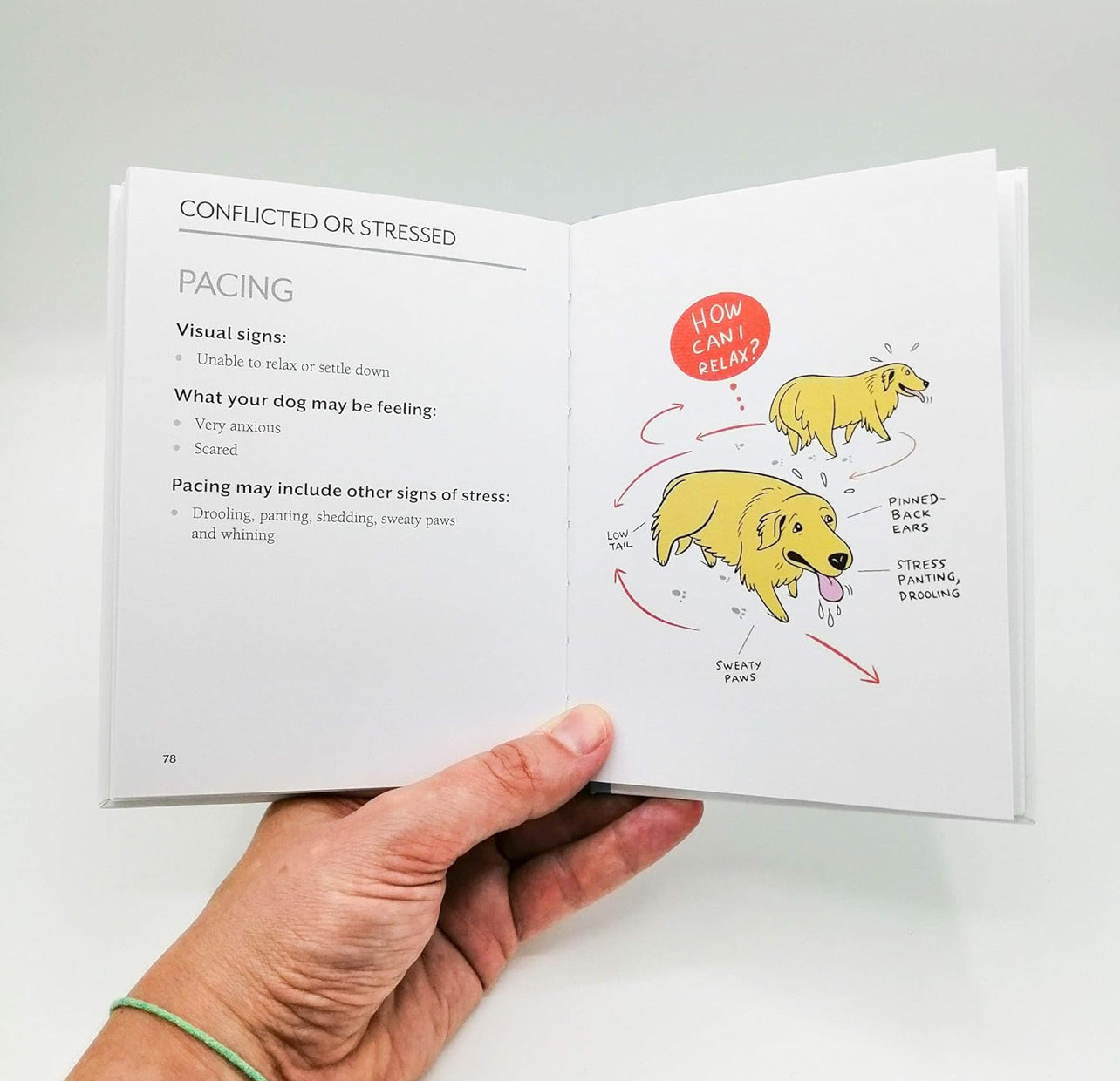 Doggie Language - A Book for Dog Lovers
