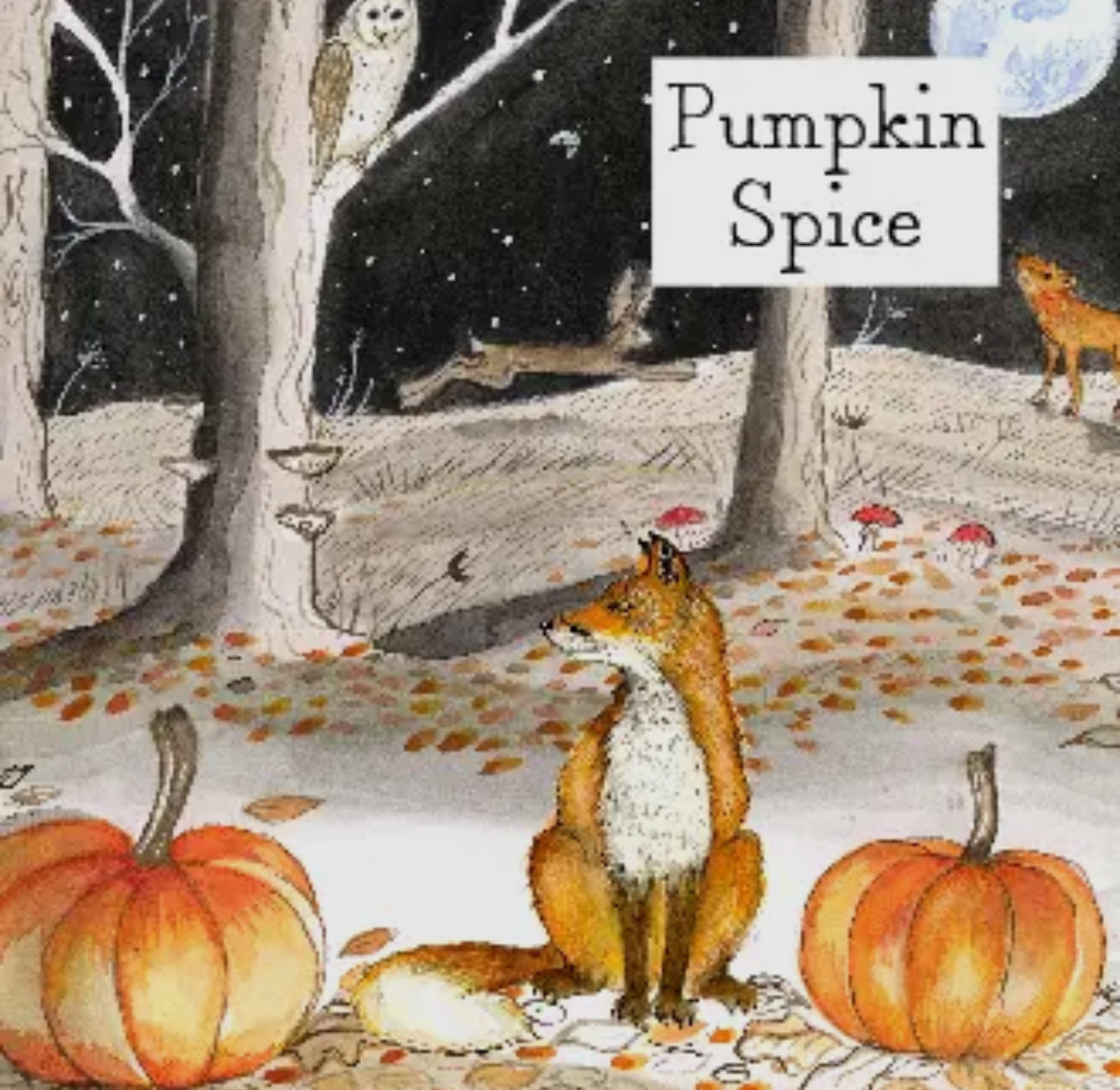 Pumpkin Spice Scented Candle - 20cl 45hr burn