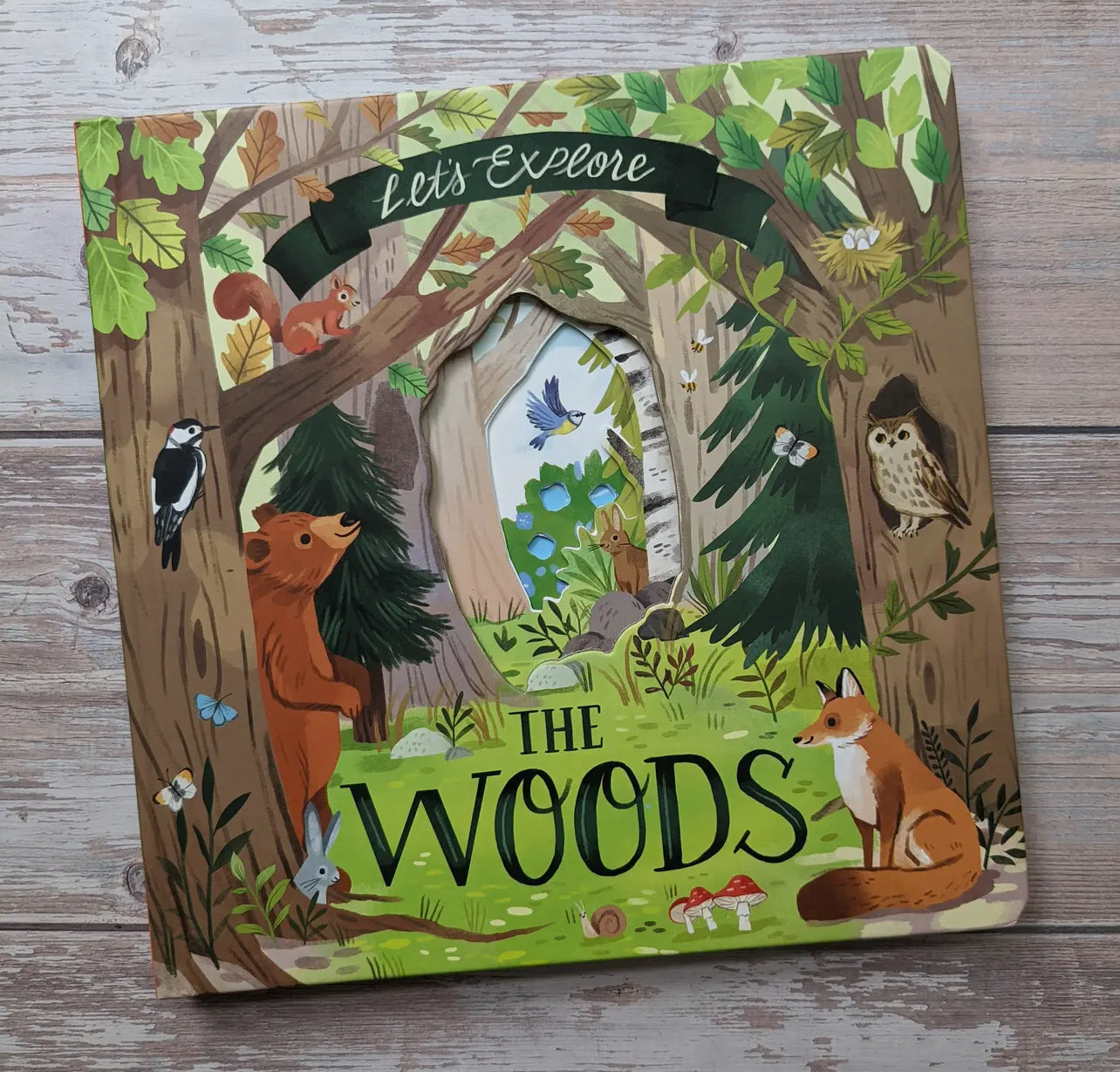 Into the Woods - Let’s explore lift the flap book