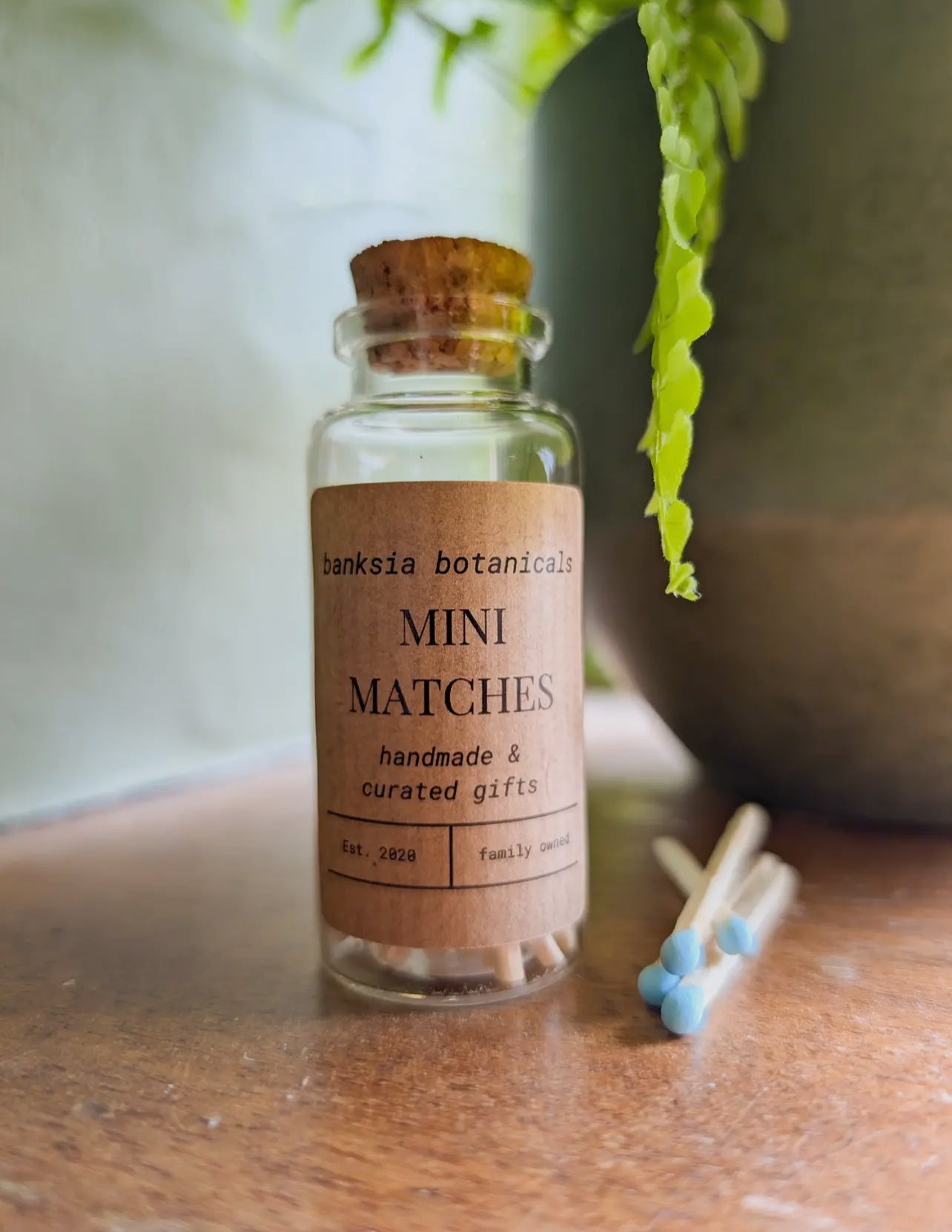 Mini Matches in Jar