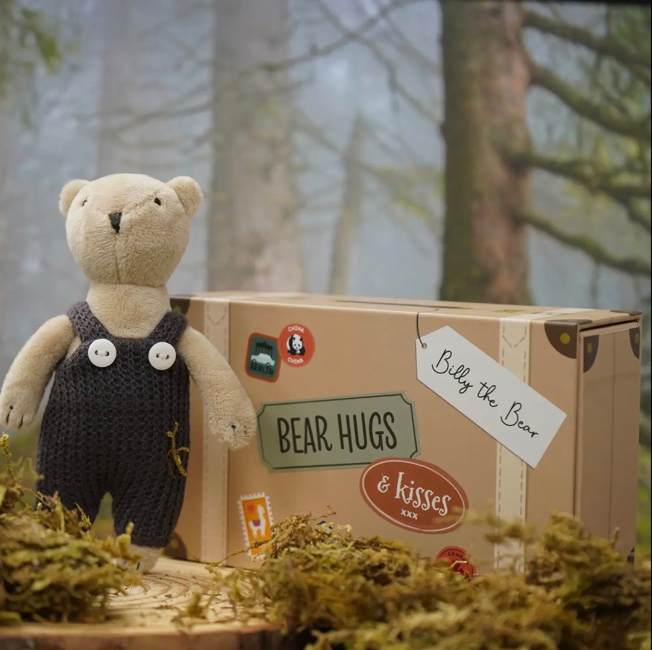 Billy Bear - Travelling boxed bear