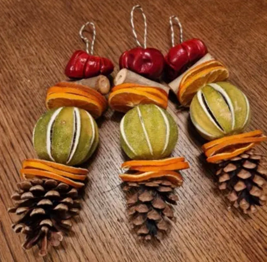 Handmade Dried Fruit & Pinecone Christmas Hanging Decoration