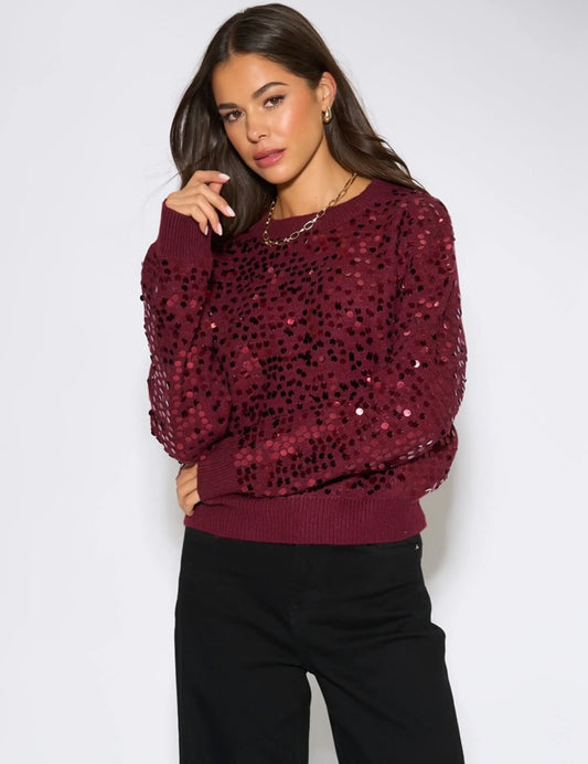 Mulberry Sequin Long Sleeve Knitted Jumper