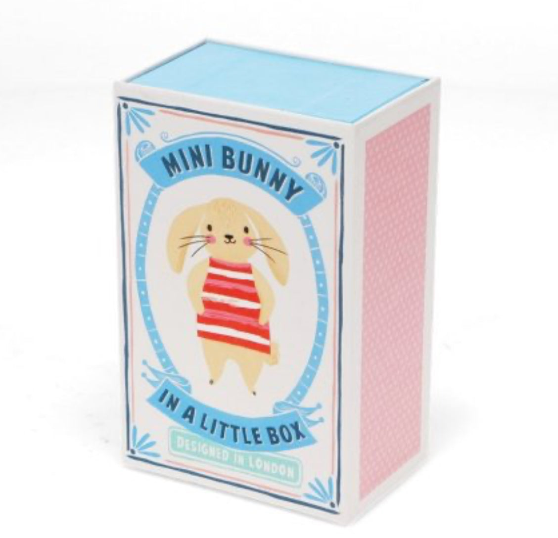 Little Bunny in a Box