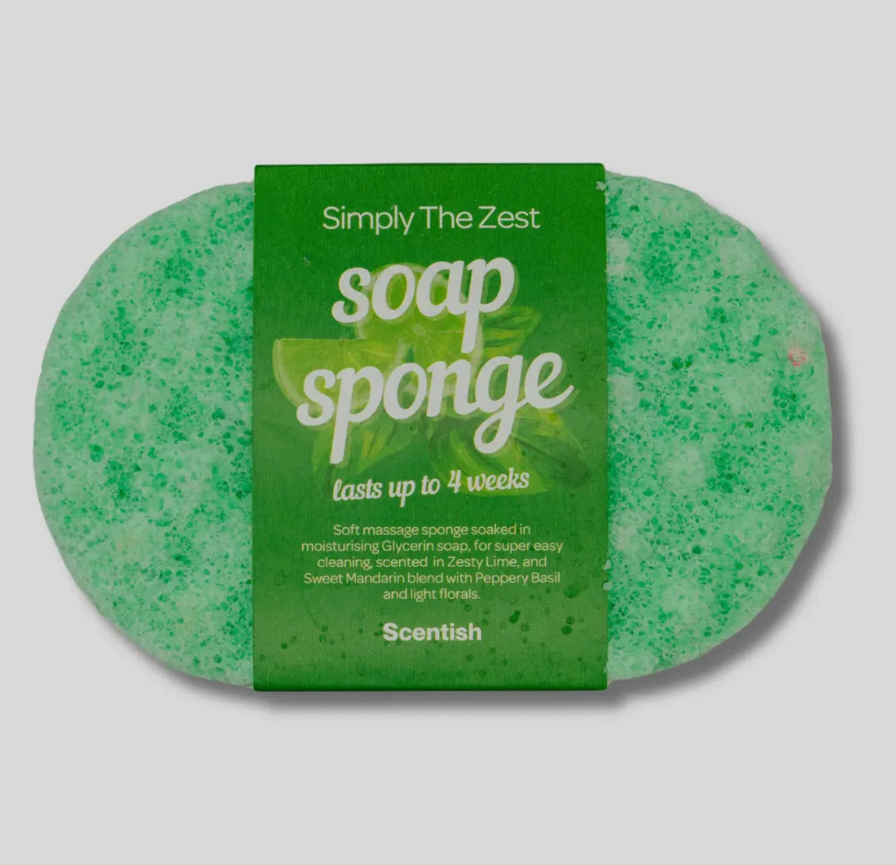 Soap Sponge