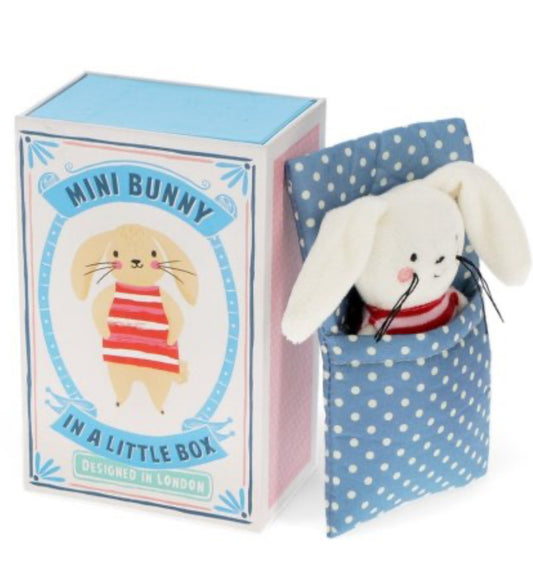 Little Bunny in a Box