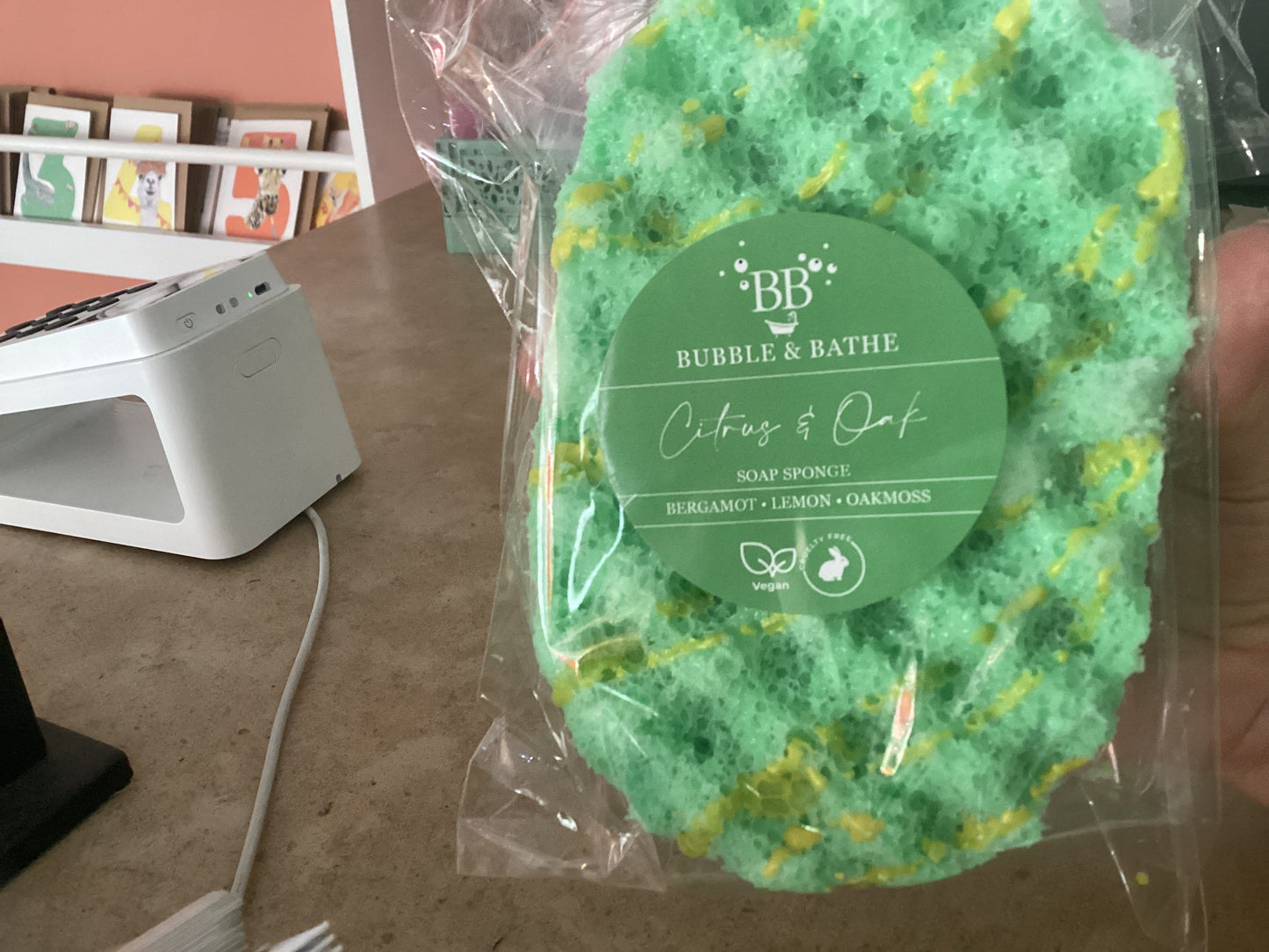 Soap Sponge - Citrus & Oak