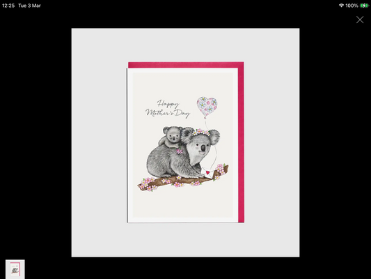 Koalas Mother's Day Card-'happy Mother's Day'