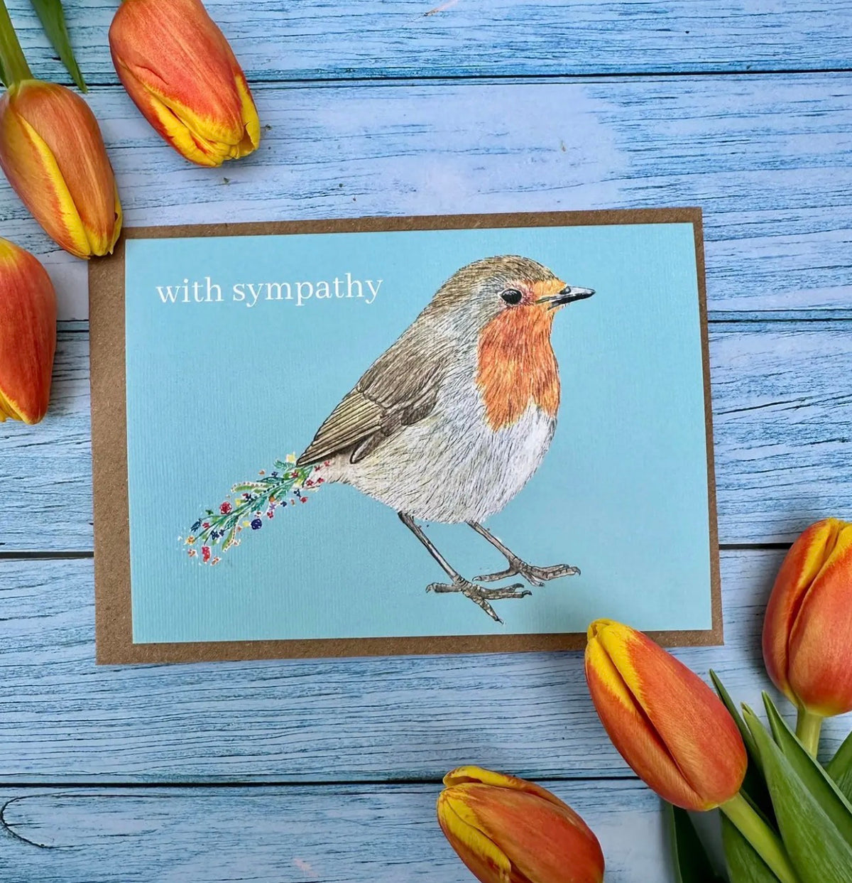 Robin with Sympathy - Jen Winnett