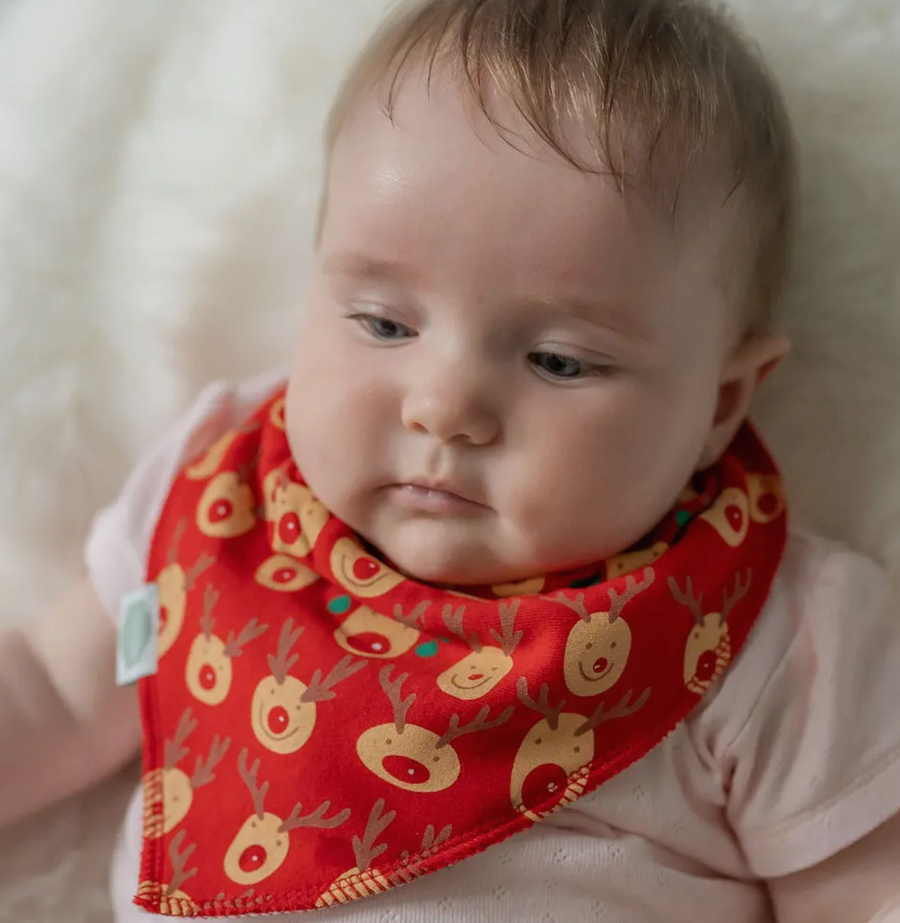 Rudolph Reindeer Baby Bib