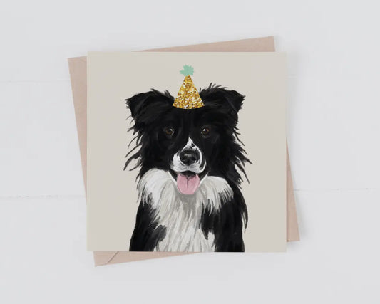 Collie Dog Birthday