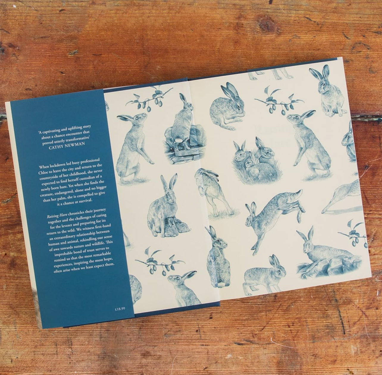 Raising Hare Hardback Book