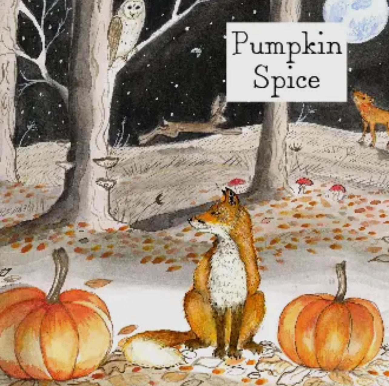 Pumpkin Spice Scented Tealights - Box of 9
