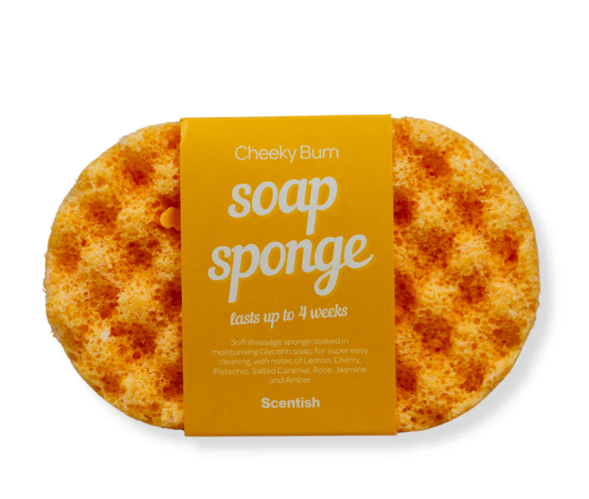 Soap Sponge
