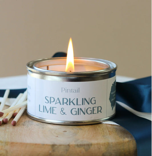Paint Pot Candle - Sparkling Lime and Ginger