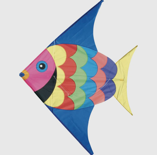 Giant Colourful Fish Kite