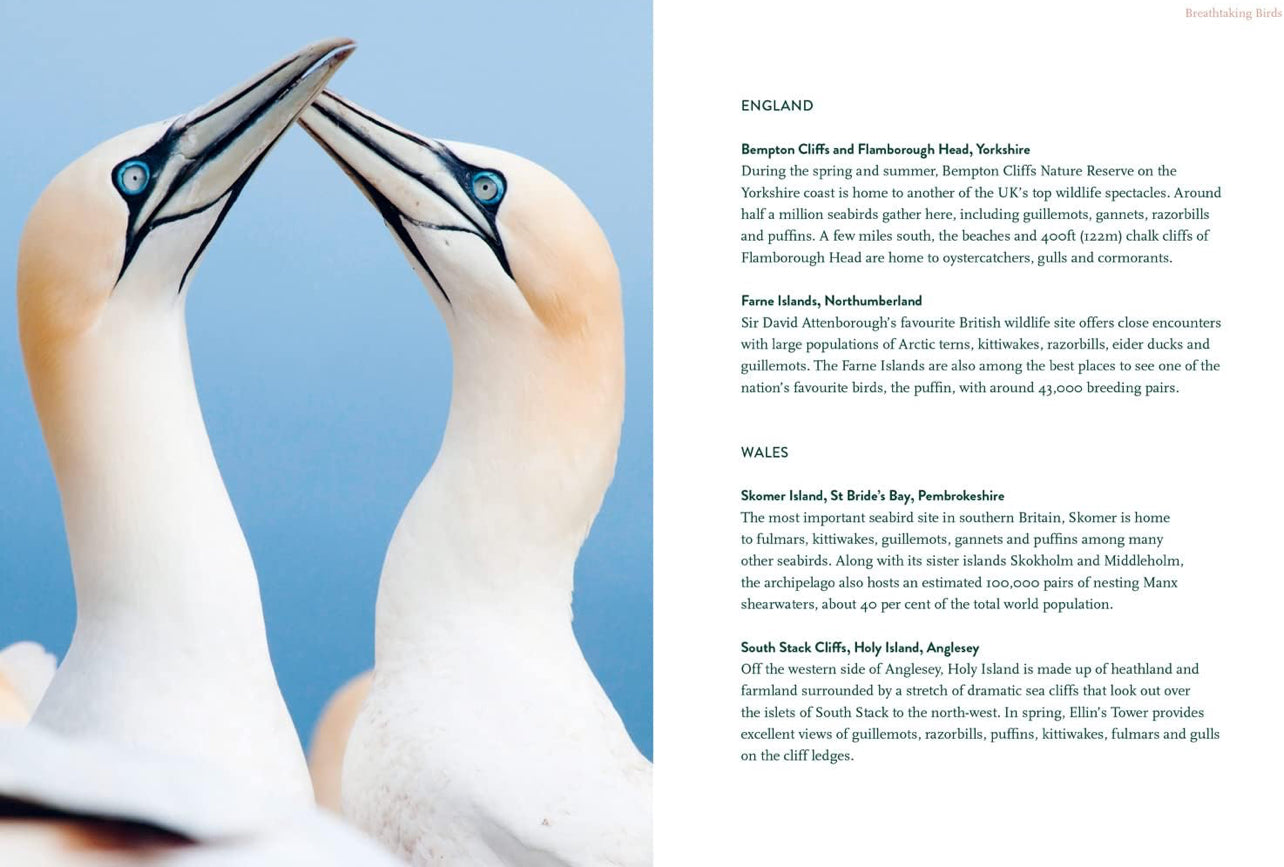 Nature Lovers Bucket List - Harback Book