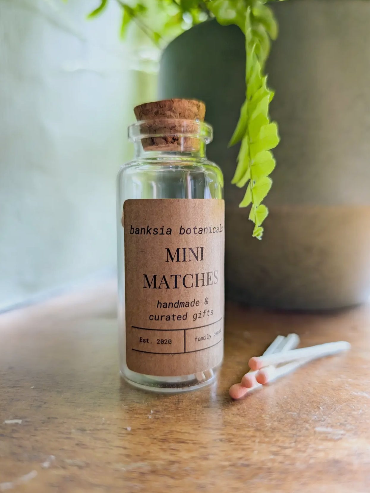 Mini Matches in Jar