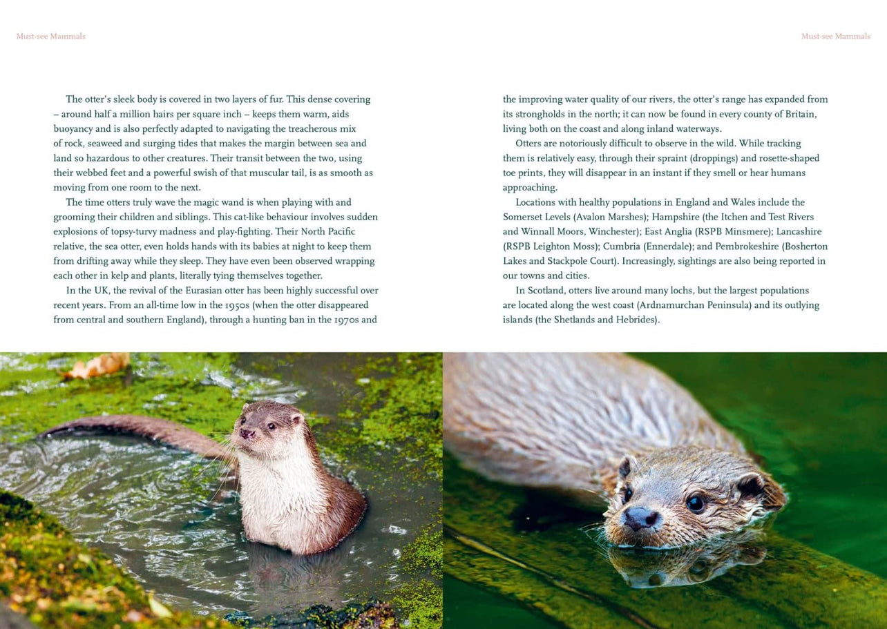 Nature Lovers Bucket List - Harback Book