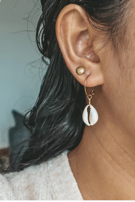 Cowrie Shell Gold Hoop Earrings