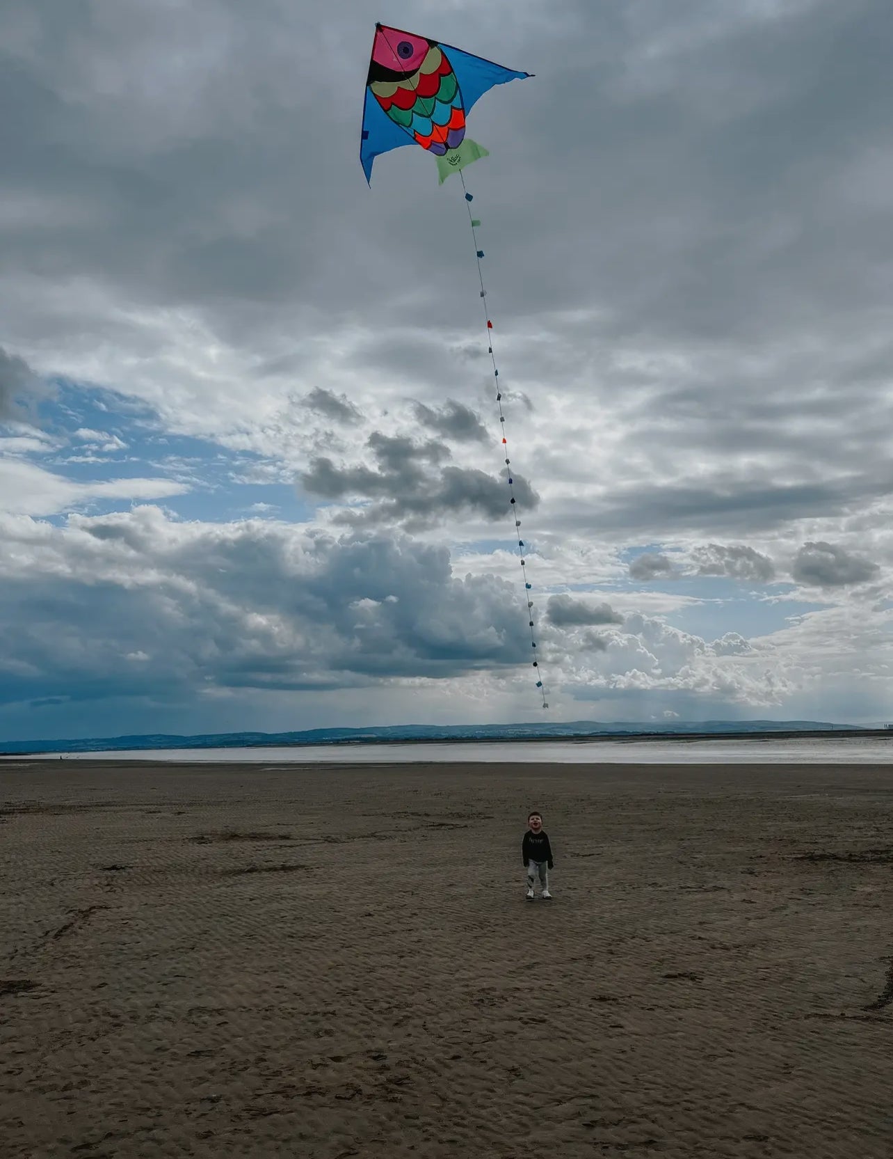 Giant Colourful Fish Kite
