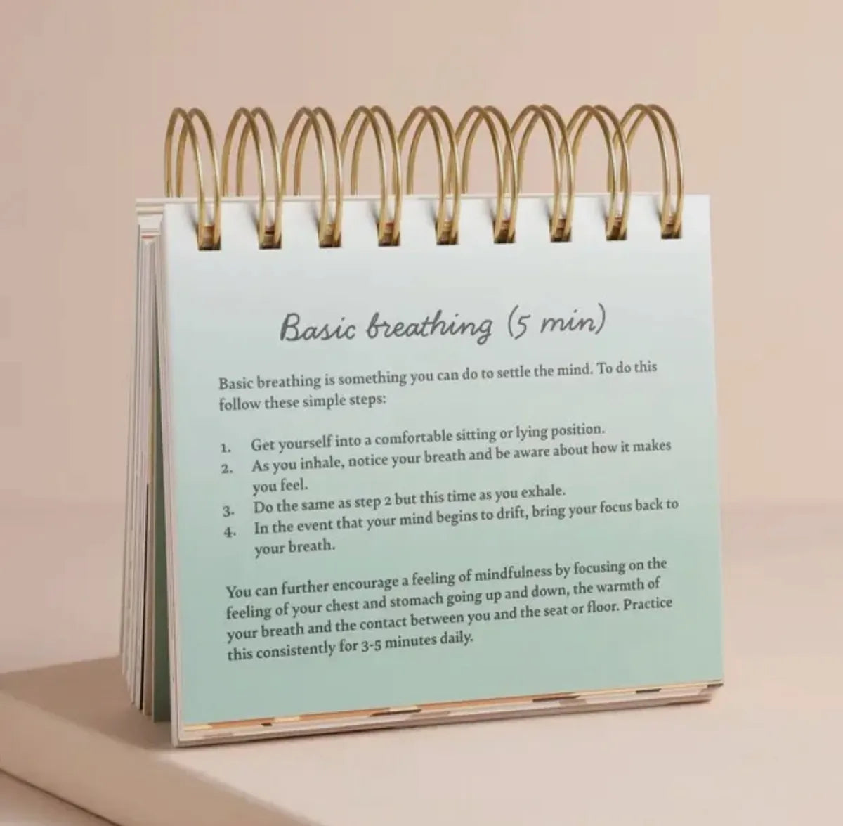 Daily Mindfulness Flip Chart